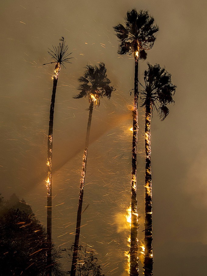 Los Angeles Fire — PICS