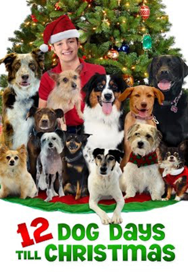 ’12 Dog Days till Christmas’