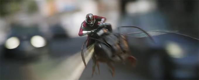 ‘Ant-Man & The Wasp’