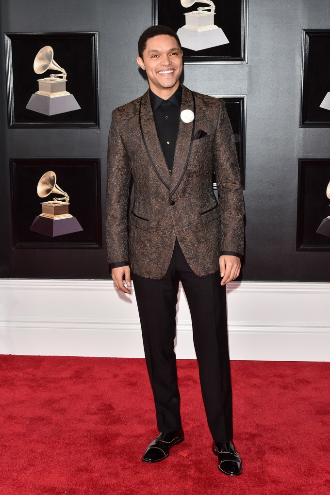 2018 Grammy Awards Red Carpet Photos