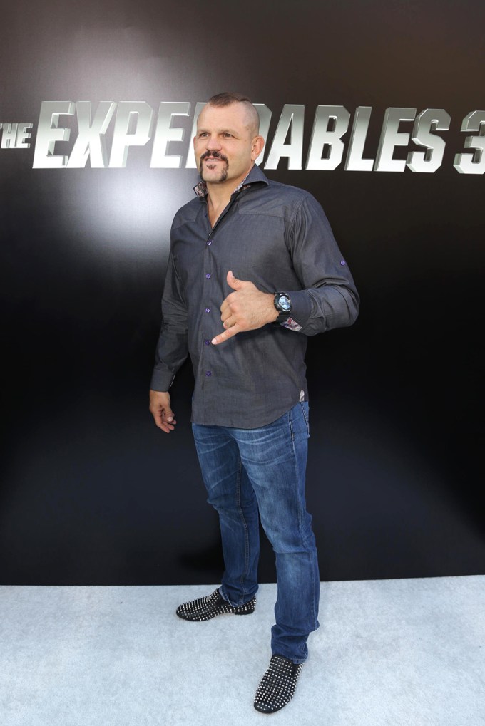 Lionsgate Presents “The Expendables 3” Los Angeles Premiere, Hollywood, USA – 11 Aug 2014