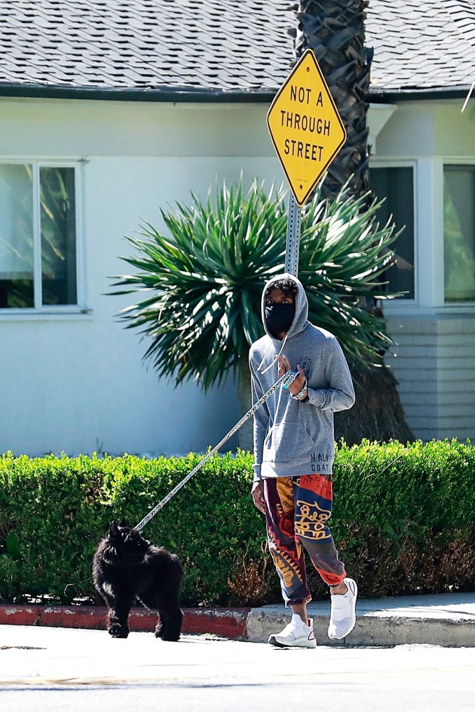 Chadwick Boseman on a walk with his dog in CA