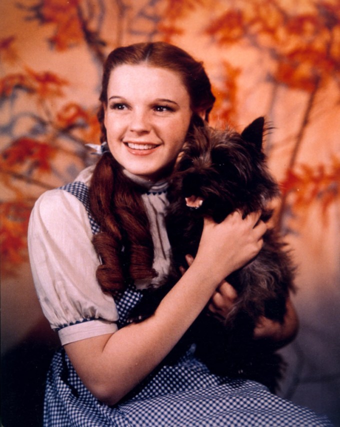Judy Garland & Toto