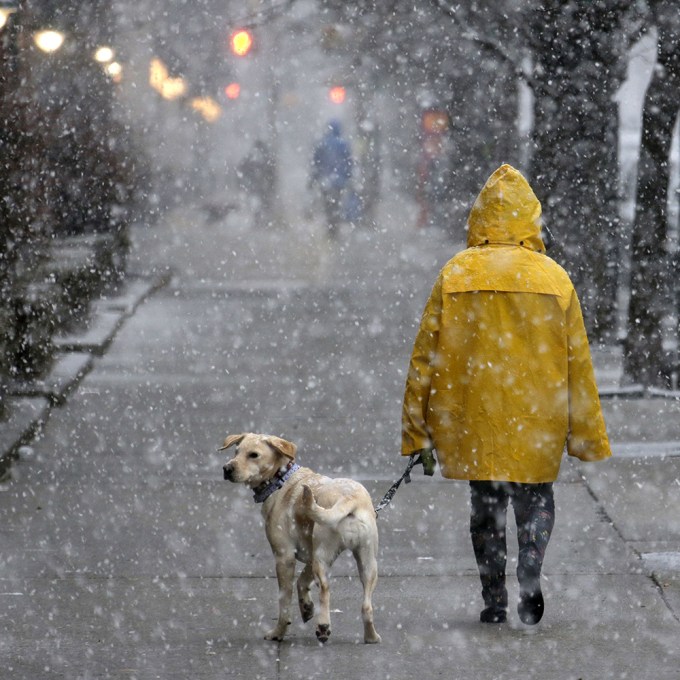 ThunderSnow: East Coasters Share Wild Videos & Photos Of Crazy Storm Tearing Through NYC & More