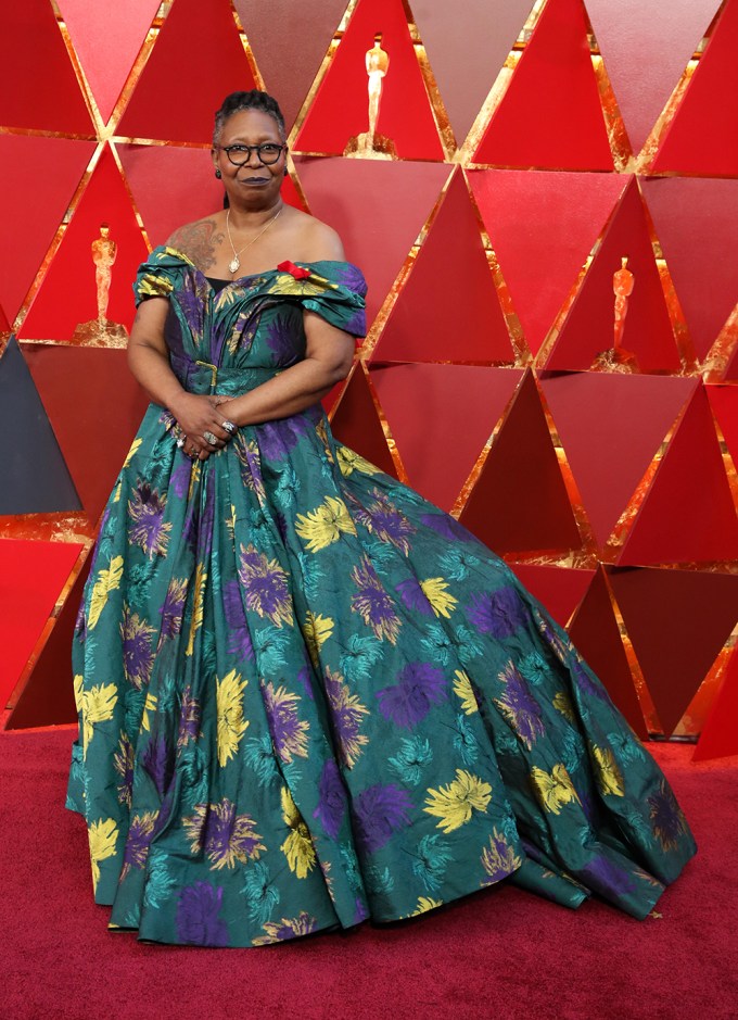 2018 Academy Awards Red Carpet Photos