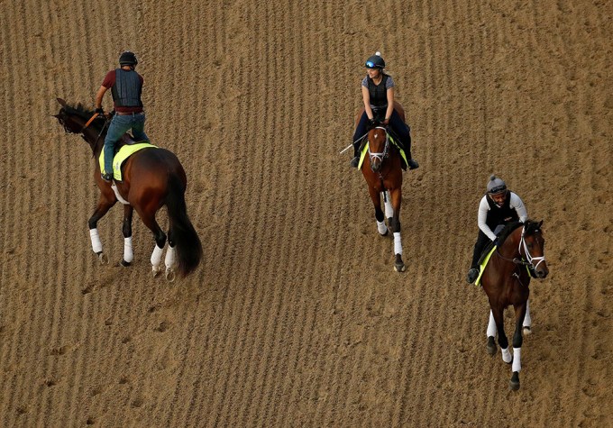 Magnum Moon: 5 Things About The Horse Who Could Win It All At The Kentucky Derby