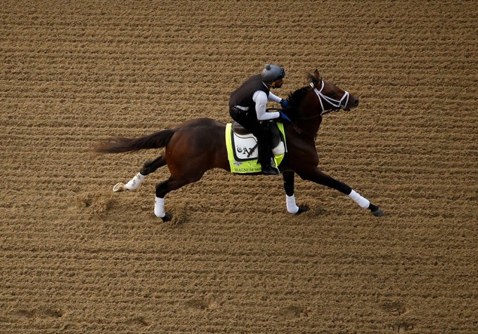 Magnum Moon: 5 Things About The Horse Who Could Win It All At The Kentucky Derby