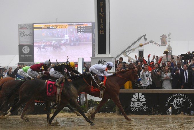 Preakness Stakes Horse Race, Baltimore, USA – 19 May 2018