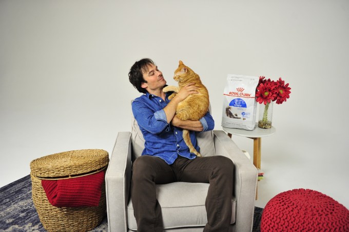 Ian Somerhalder Partnered with Royal Canin for its Take Your Cat To the Vet Day Campaign