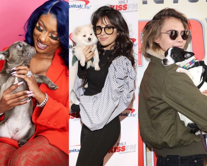 Stars With Their Dogs: Photos