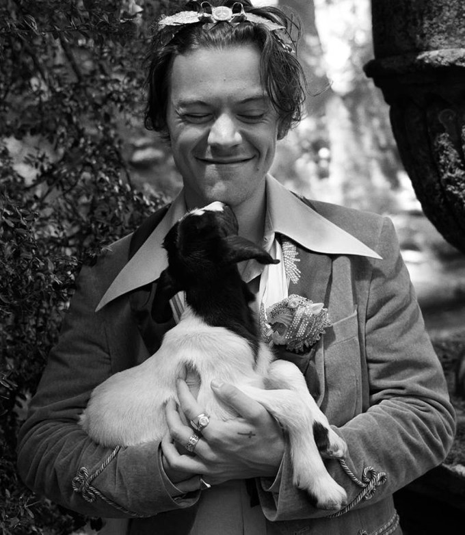 Harry Styles In Gucci Campaign