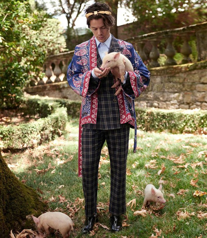 Harry Styles In Gucci Campaign