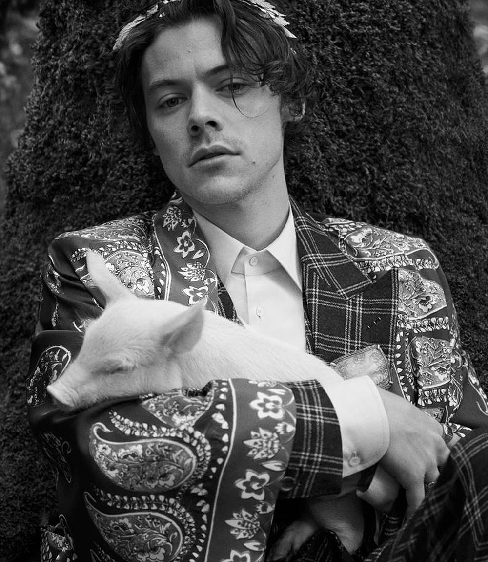 Harry Styles Shirtless For Gucci Campaign: Photos – Hollywood Life