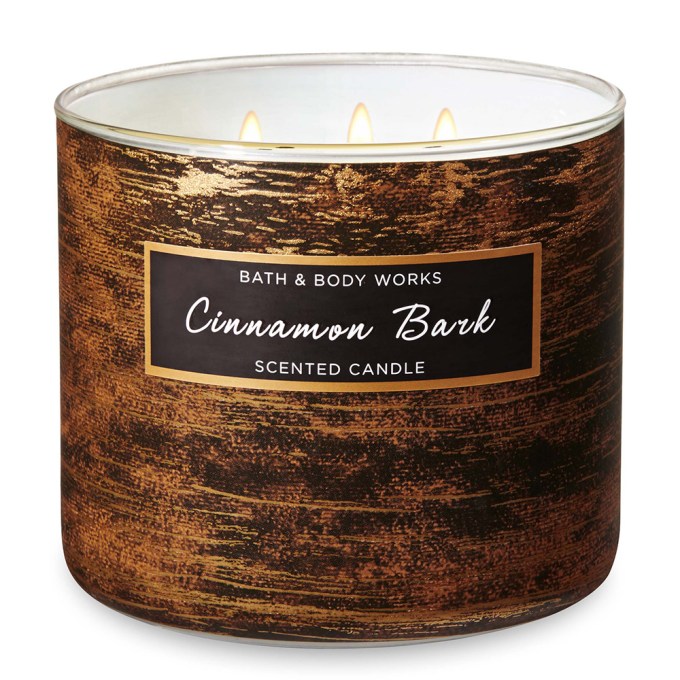 Bath & Body Works Cinnamon Bark candle