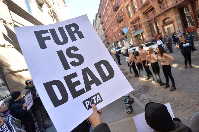 PETA Protests