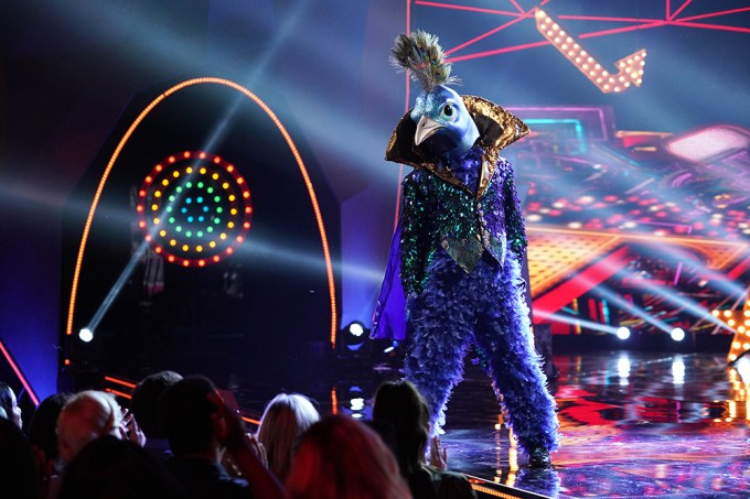 The Peacock On ‘The Masked Singer’