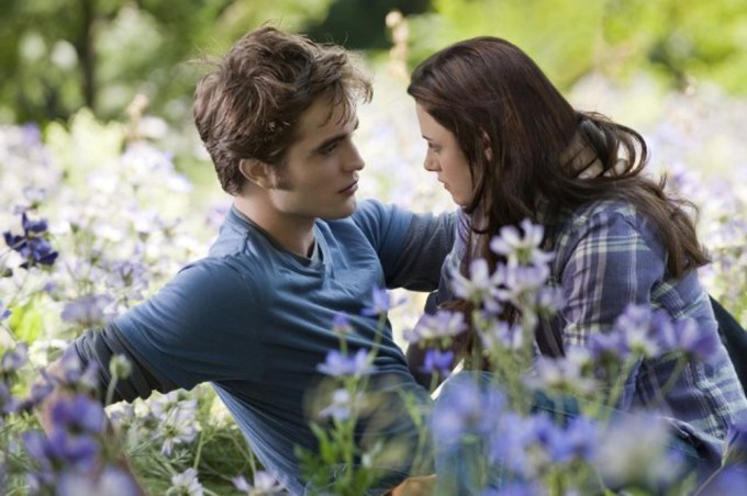 Bella & Edward Cuddle In A Meadow