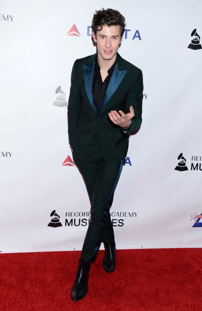 MusiCares Person of the Year Gala, Arrivals, Convention Center, Los Angeles, USA – 08 Feb 2019