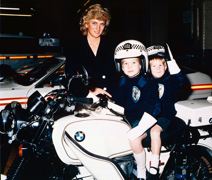 Prince William & Prince Harry With Their Mom, Princess Diana