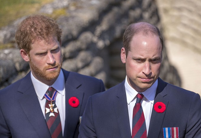 Prince William & Prince Harry In Vimy Memorial Park