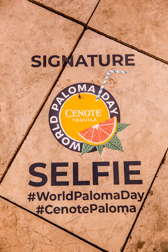 World Paloma Day