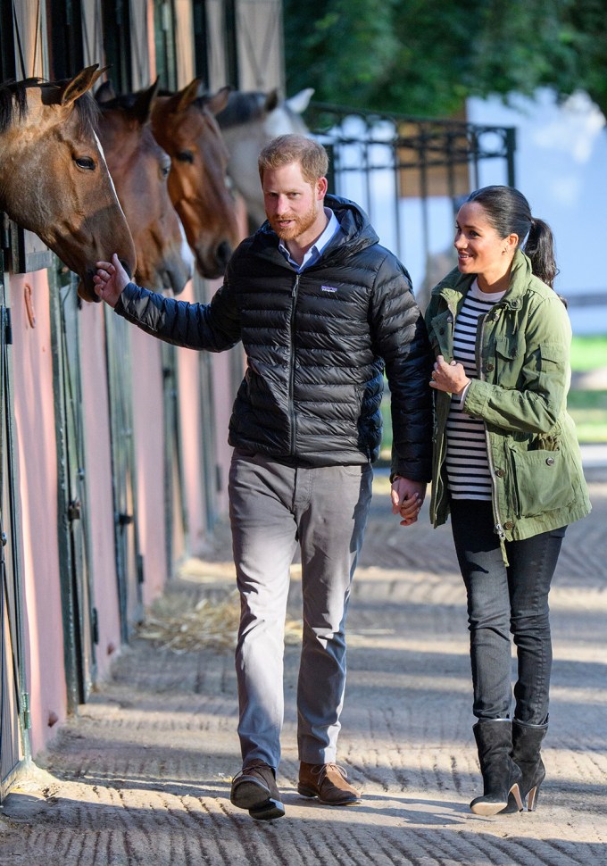Prince Harry & Meghan Markle Pet Horses