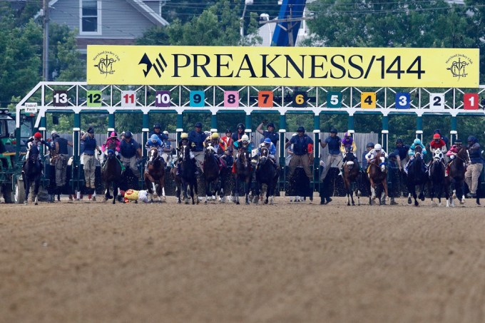 Jockey falls off his horse at the Preakness Stakes.
