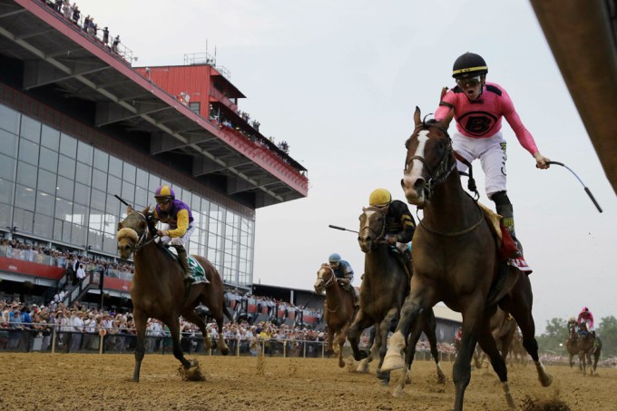 War of Will competing in the 2019 Preakness Stakes