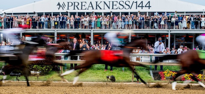 Horses giving it their all in the 2019 Preakness Stakes