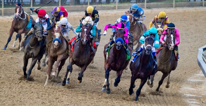 Horses in the pack at the 2019 Preakness Stakes