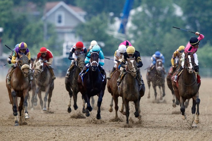 Down to the finish at the 2019 Preakness Stakes