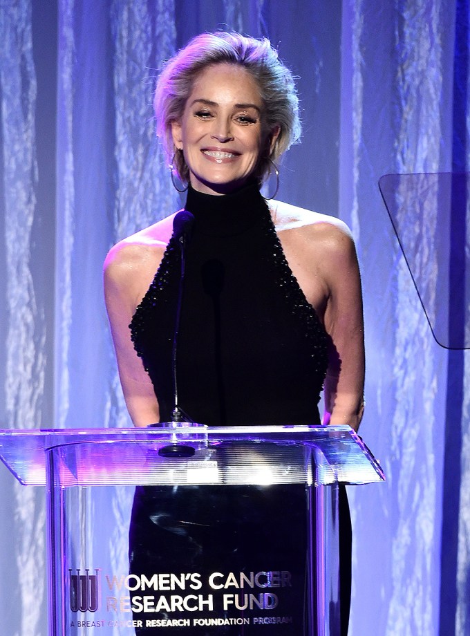 Sharon Stone At The Women’s Cancer Research Fund