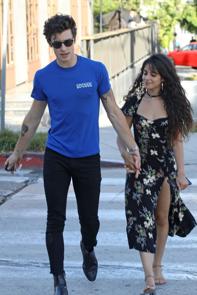 Camila Cabello & Shawn Mendes Go Out For Coffee