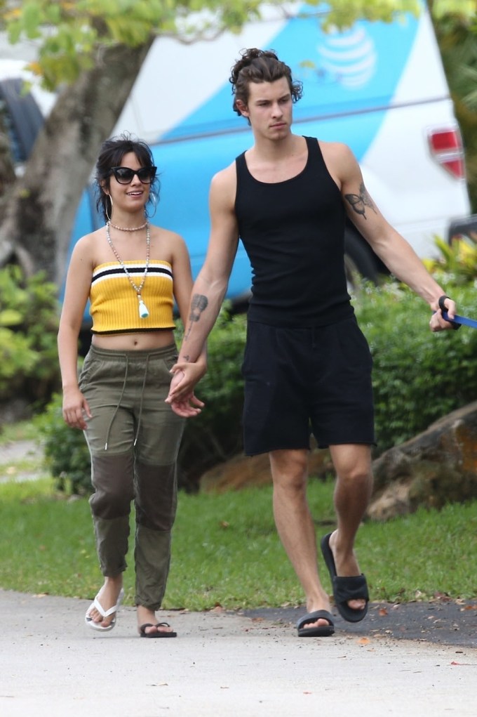 Shawn Mendes & Camila Cabello Hold Hands On Quarantine Walk