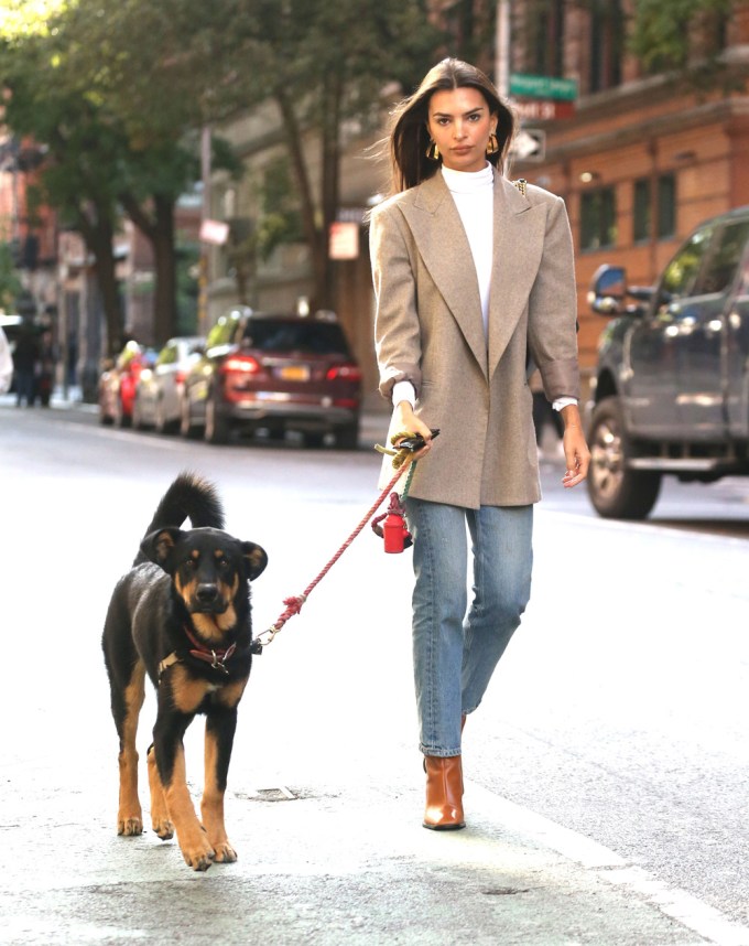 Emily Ratajkowski Dog Walking Outfits