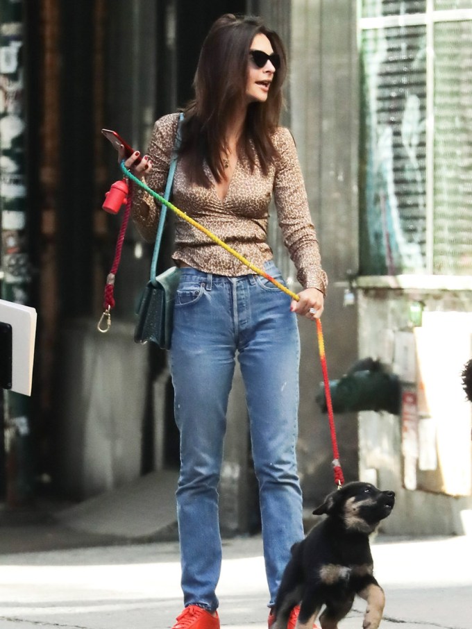 Emily Ratajkowski looks to the side while walking her dog