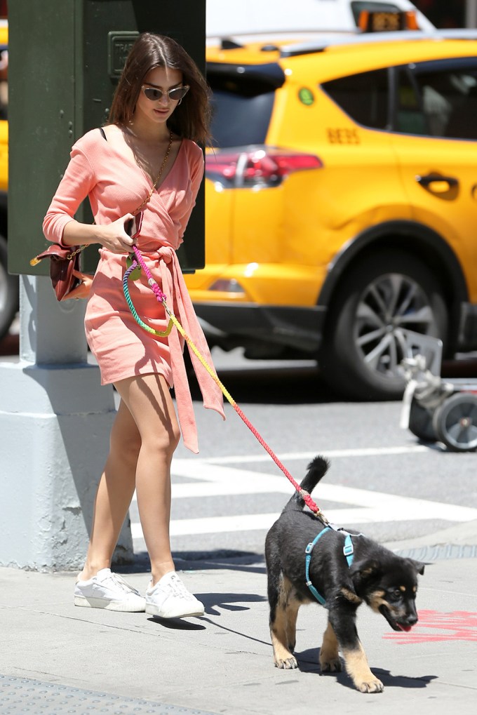 Emily Ratajkowski walks with her dog