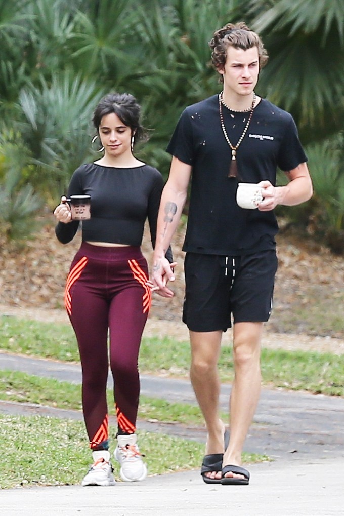 Camila Cabello & Shawn Mendes Hold Hands In Maimi