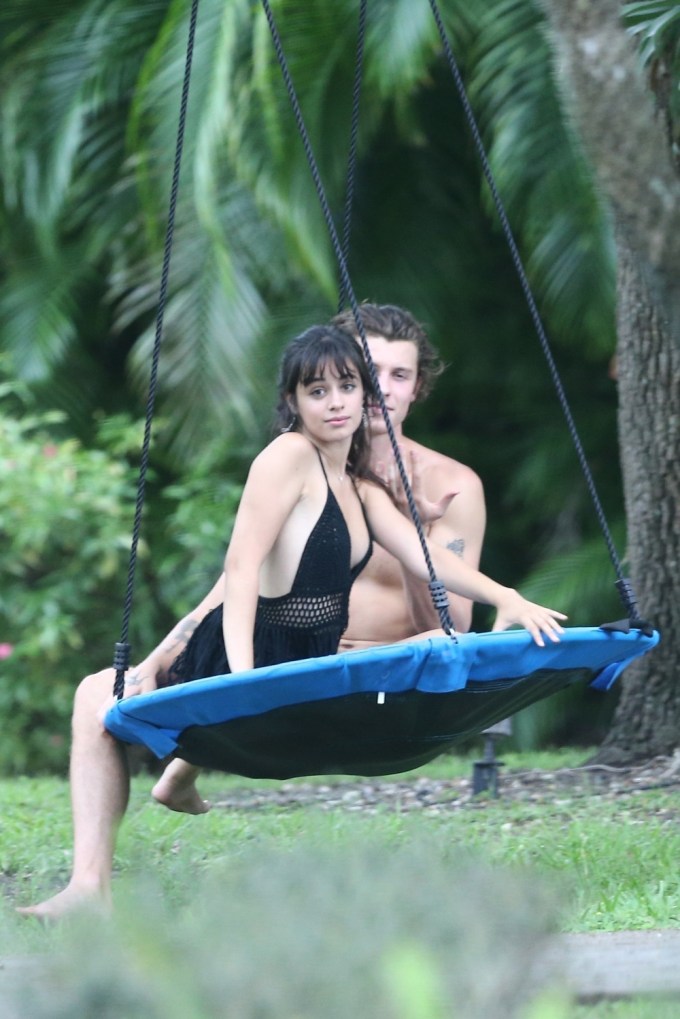 Camila Cabello & Shawn Mendes On A Swing