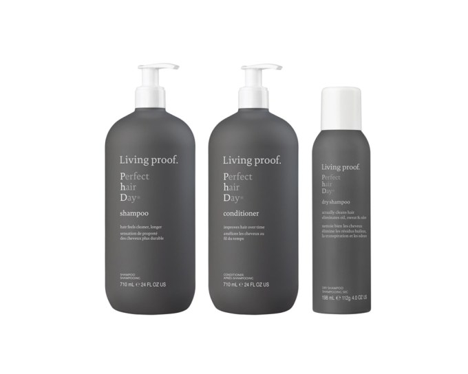 Living proof Perfect hair Day Deluxe Trio, $89