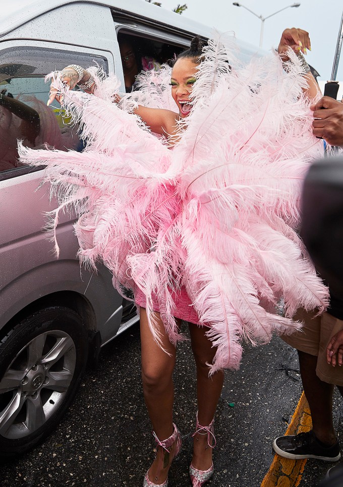 Rihanna Shows Off Pink Feathered Dress