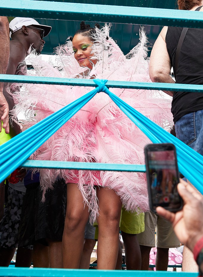 Rihanna Stuns In Feathered Dress