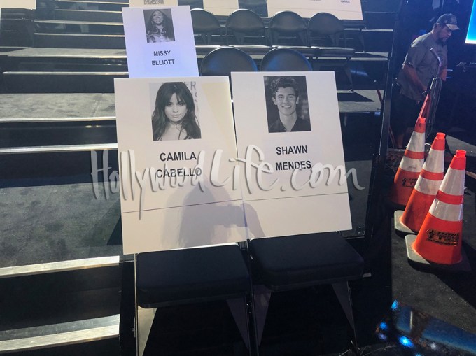 Camila Cabello & Shawn Mendes will sit next to each other at the VMAs