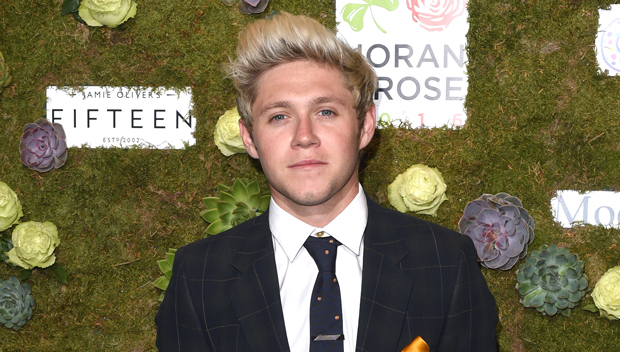 Did Niall Horan Dye His Hair Blonde Again? Fans Think So — See Pic –  Hollywood Life