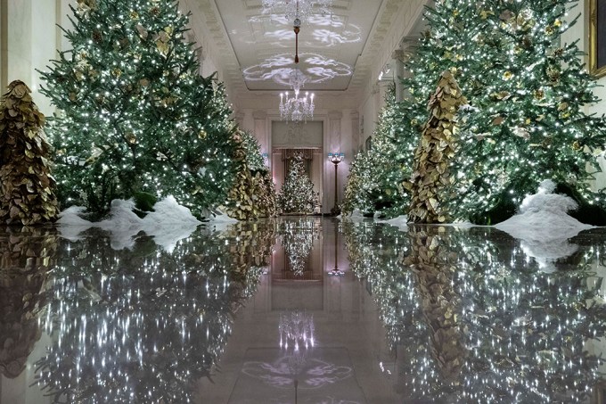 White House Christmas Trees