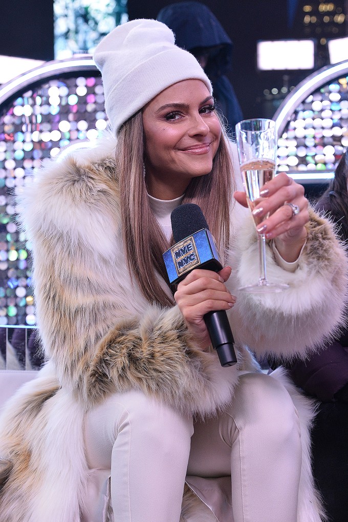 Maria Menounos toasts to the new year