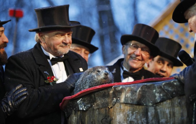 Punxsutawney Phil Is Surrounded By The Inner Circle