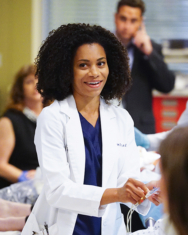 Kelly McCreary On Her Natural Hair: Why 'Grey's Anatomy' Fans Love It –  Hollywood Life