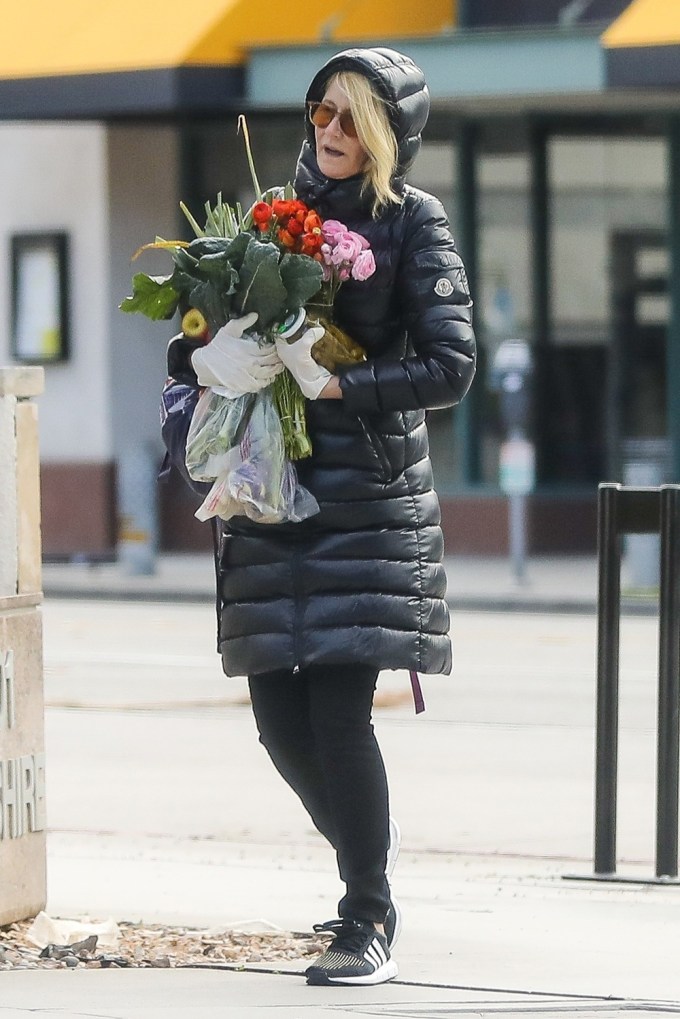Laura Dern Stocks Up On Flowers While Wearing Gloves