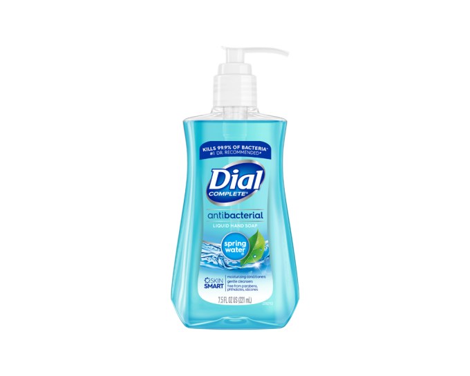 Dial Complete Antibacterial Liquid Hand Soap in Spring Water, $1.49, Target.com